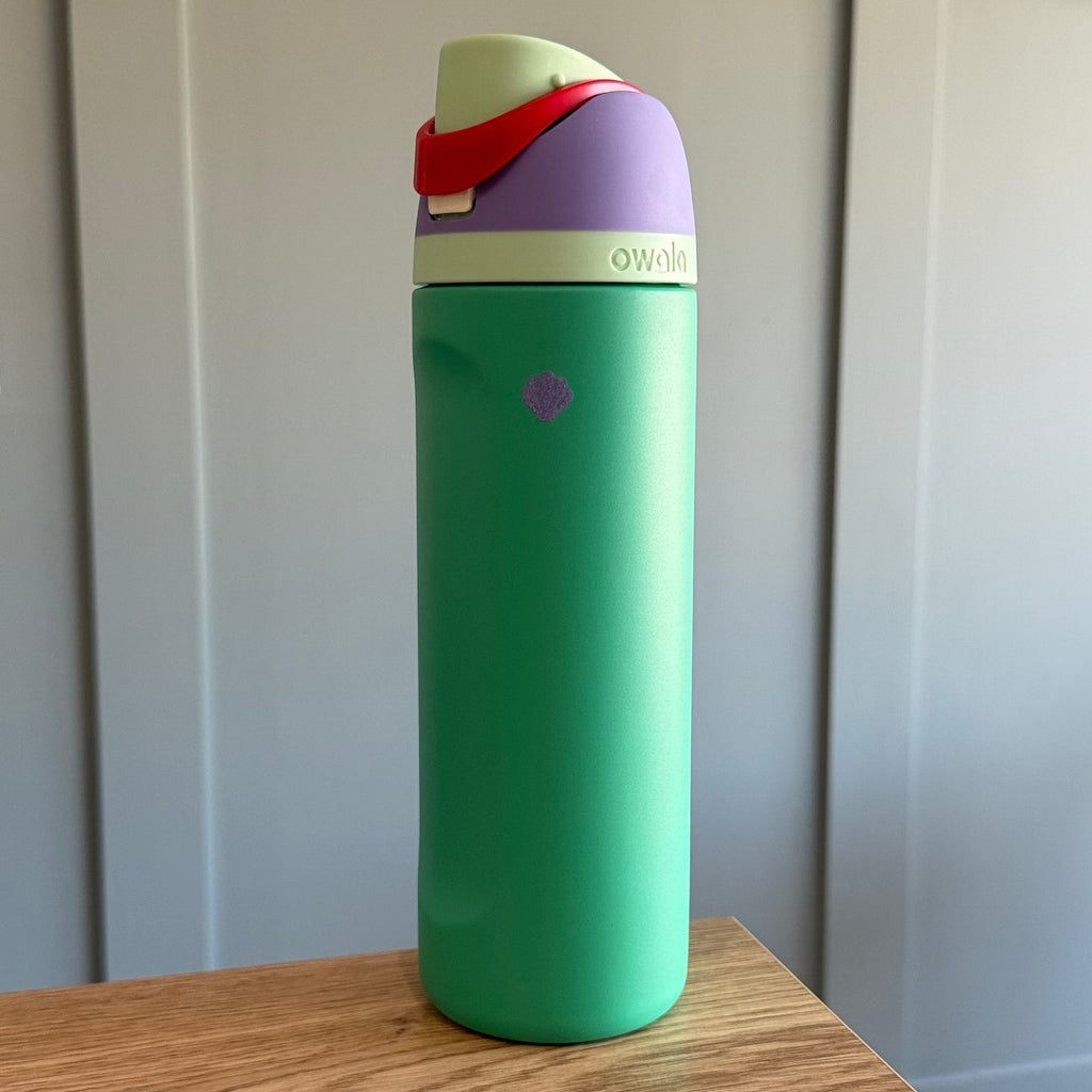 Owala FreeSip 24oz Disney Princess Ariel Limited Bottle - Green and Purple - Shell