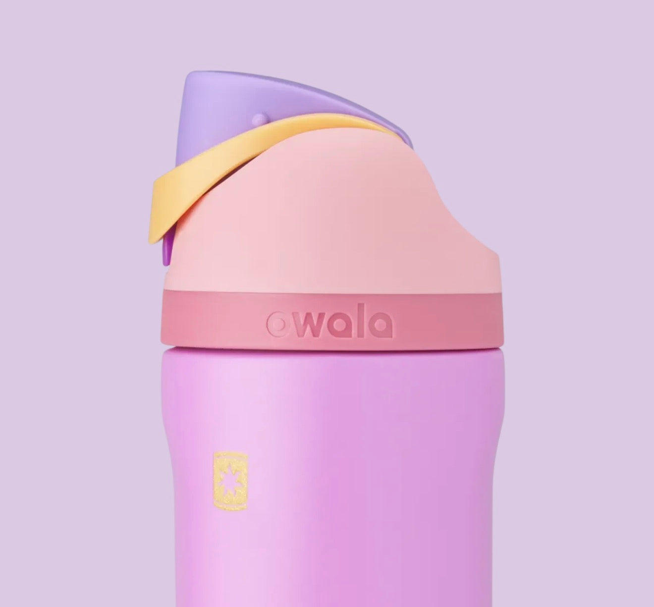 Owala FreeSip Disney Princess