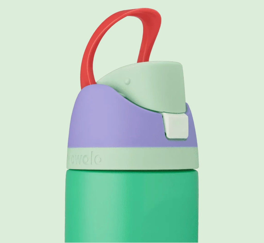 Owala FreeSip 24oz Disney Princess Ariel Limited Edition Bottle - Green and Purple