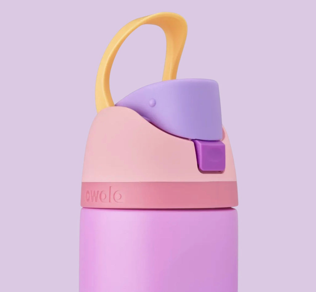 Owala FreeSip 24oz Disney Princess Rapunzel Limited Edition Bottle - Purple and Pink