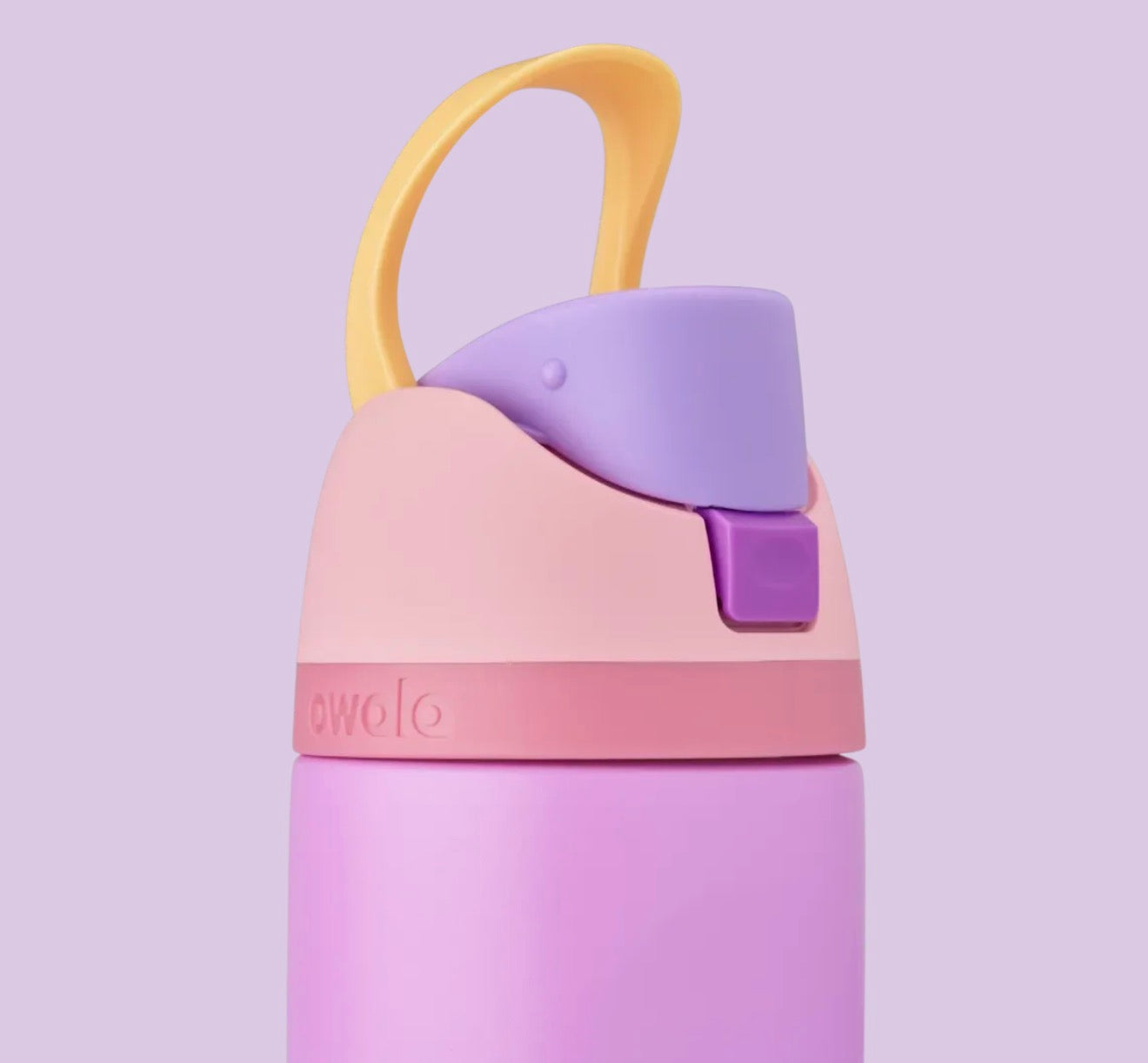 Owala FreeSip Disney Princess