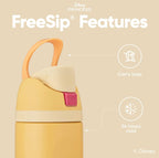 Owala FreeSip Disney Princess