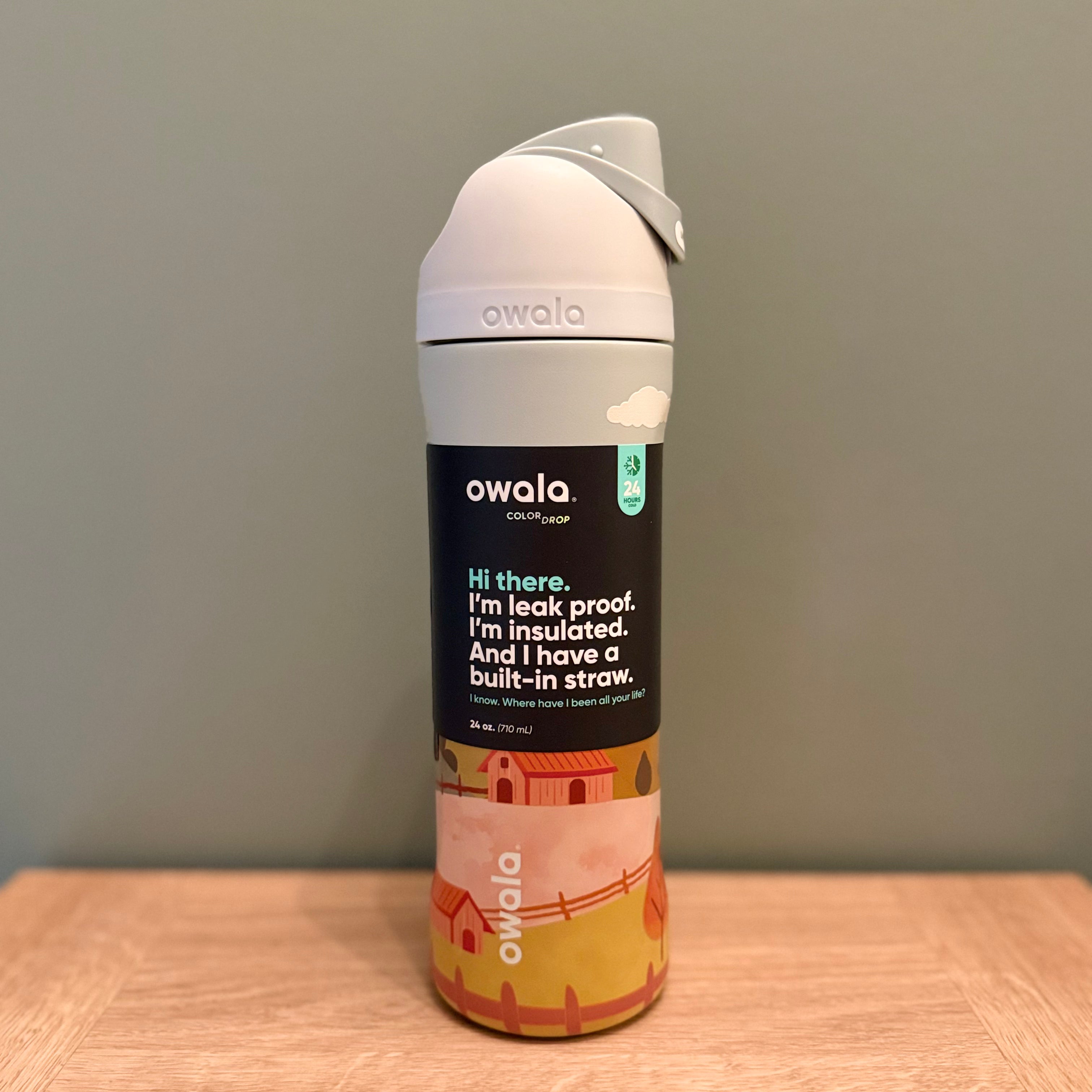 Owala FreeSip 24oz - Autumn Ridge Road