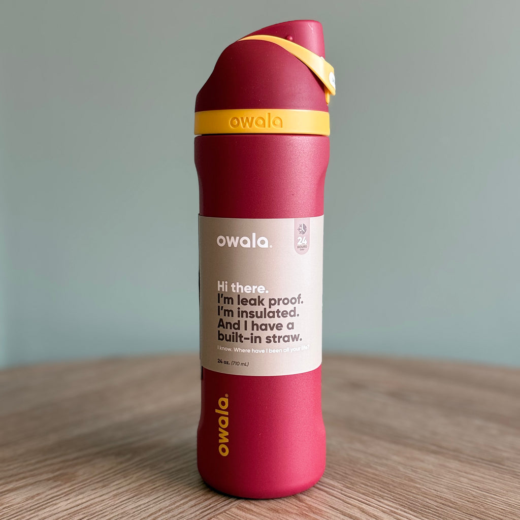 Gryffindor Harry Potter Owala FreeSip 24oz Bottle