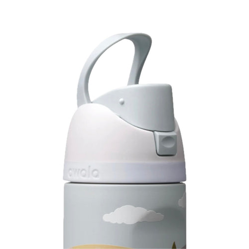 Owala FreeSip 24oz Color Drop Autumn Ridge Road Stainless Steel Insulated Water Bottle Carry Loop
