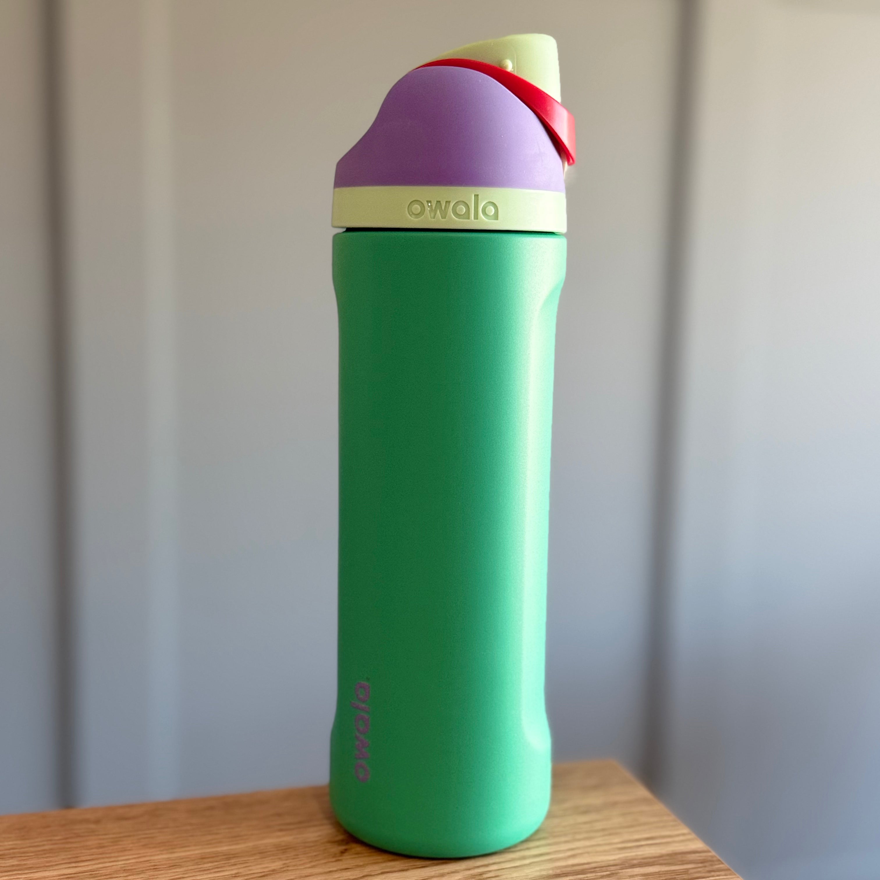 Owala FreeSip 24oz Disney Princess Ariel Limited Bottle - Green and Purple - Available Now! 